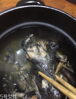 烏雞是公雞好還是母雞好？烏雞買公雞還是母雞？