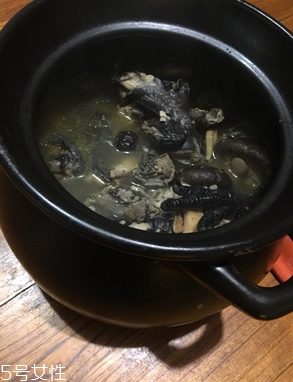 烏雞是公雞好還是母雞好？烏雞買公雞還是母雞？