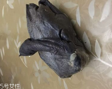 烏雞是熱性還是涼性？烏雞偏熱還是偏涼？