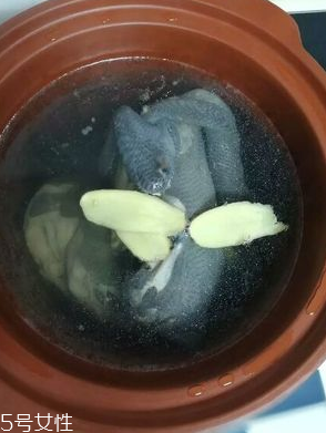 烏雞是熱性還是涼性？烏雞偏熱還是偏涼？