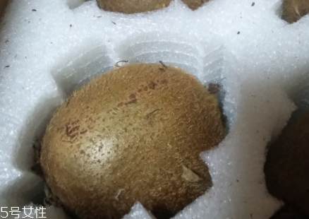 綠心獼猴桃硬的能吃嗎？硬的綠心獼猴桃能吃嗎？