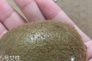綠心獼猴桃含葉酸嗎？綠心獼猴桃里面有葉酸嗎？