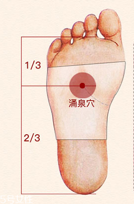 溢涌堂老北京足貼價錢 溢涌堂老北京足貼多少錢？