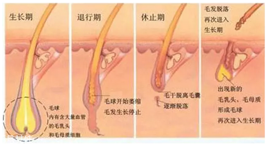超冰脫毛對皮膚會(huì)影響排汗嗎 超冰脫毛有副作用嗎
