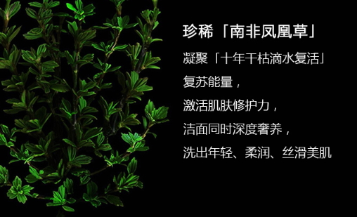 阿瑪尼洗面奶怎么樣？阿瑪尼洗面奶評測