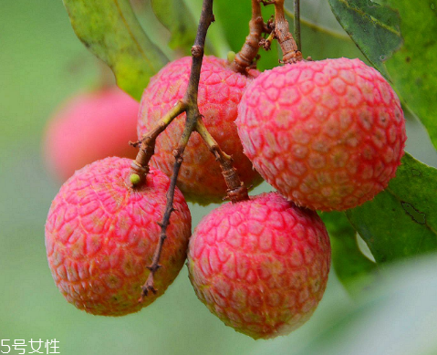 荔枝是涼性還是熱性？月經(jīng)來了能吃荔枝嗎