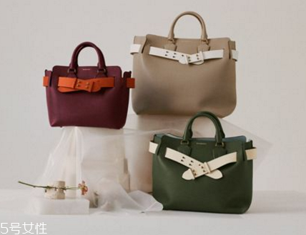 burberry the belt bag多少錢(qián)？巴寶莉貝爾特包專柜價(jià)格