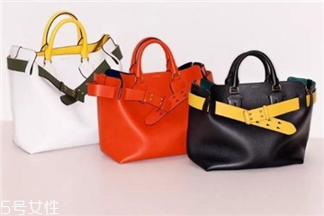 burberry the belt bag多少錢？巴寶莉貝爾特包專柜價格