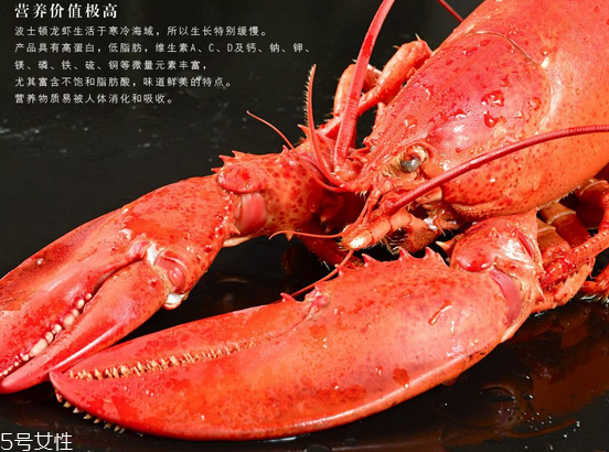 波士頓龍蝦頭里綠色的是什么？