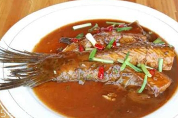 青魚是鯉魚嗎？青魚和鯉魚是不是一樣的？