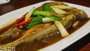 青魚是鯉魚嗎？青魚和鯉魚是不是一樣的？