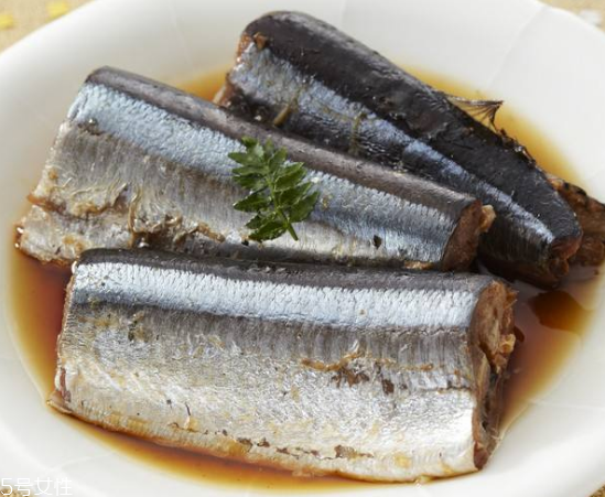 青魚怎么釣？青魚可以用什么餌料？