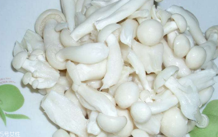 白玉菇為什么是苦的？白玉菇怎么會苦？