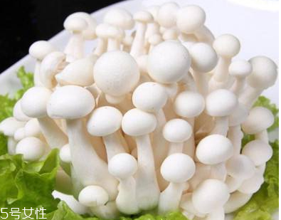 白玉菇的選購技巧 白玉菇怎么挑選？