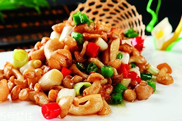 白玉菇和金針菇的區(qū)別 白玉菇是金針菇嗎？