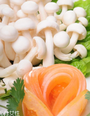 白玉菇和金針菇的區(qū)別 白玉菇是金針菇嗎？