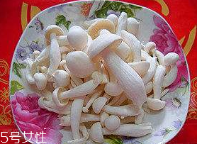 白玉菇能和西紅柿一起吃嗎？白玉菇能和番茄一起吃嗎？