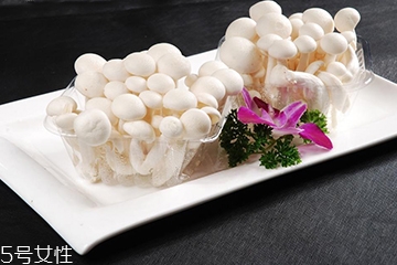 白玉菇長(zhǎng)白毛是怎么回事？白玉菇長(zhǎng)白毛還能吃嗎？