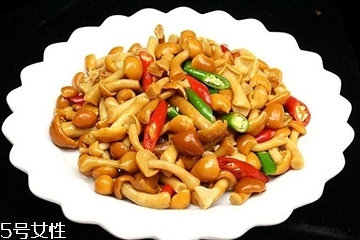 滑子菇是什么？滑子菇能吃嗎？