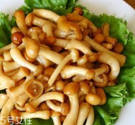 滑子菇的功效 滑子菇有什么作用？