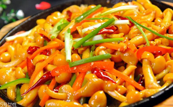 滑子菇野生和滑子菇養(yǎng)殖的區(qū)別 野生滑子菇的好嗎？