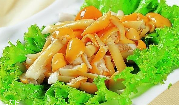 滑子菇的禁忌人群 哪些人不能吃滑子菇？