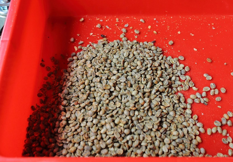 咖啡豆新豆、舊豆、老豆各有什么特色
