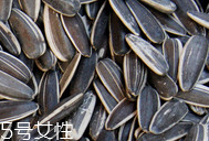葵瓜子的熱量 葵瓜子會長胖嗎？