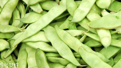 蕓豆是什么？蕓豆是豆角嗎？