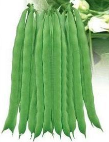 蕓豆能生吃嗎？蕓豆生吃會(huì)怎樣？