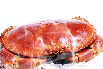 面包蟹肉多嗎？面包蟹幾月份最肥