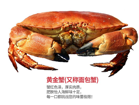 面包蟹肉多嗎？面包蟹幾月份最肥