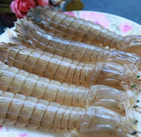 皮皮蝦能長(zhǎng)多大？皮皮蝦最大有多大？