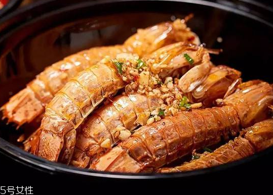 皮皮蝦能長(zhǎng)多大？皮皮蝦最大有多大？