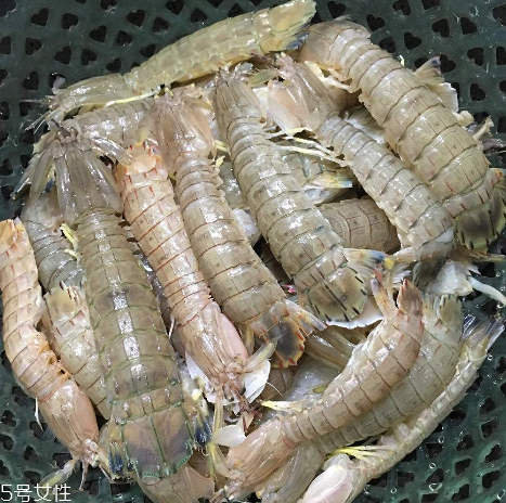 皮皮蝦能和櫻桃一起吃嗎？皮皮蝦和櫻桃可以同吃嗎？