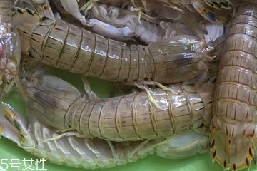 皮皮蝦皮能不能吃？皮皮蝦可以連皮吃嗎？