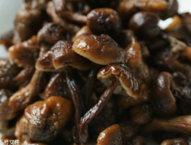 榛蘑能和雞一起吃嗎？榛蘑和雞一起吃的好處