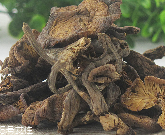 榛蘑怎么吃？干榛蘑怎么吃？