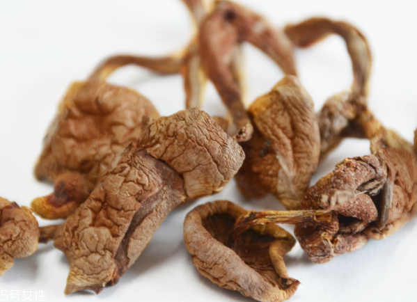榛蘑和蘿卜相克嗎？榛蘑能不能和蘿卜一起吃？