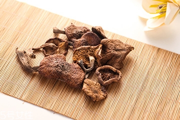 榛蘑是蘑菇嗎？榛蘑是什么蘑菇？