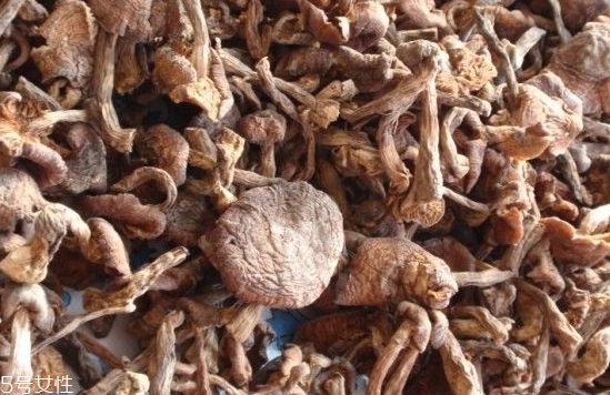 榛蘑和木耳的區(qū)別 榛蘑和木耳能一起吃嗎？