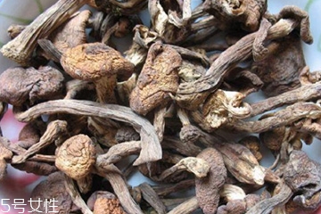 榛蘑和木耳的區(qū)別 榛蘑和木耳能一起吃嗎？