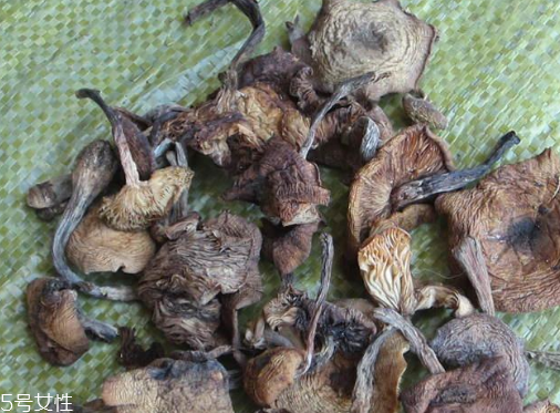榛蘑能保存多久？干榛蘑怎么保存最好？