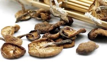 榛蘑可以煲鴨肉嗎？榛蘑可以煲鴨肉