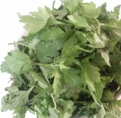 菊花腦怎么挑選？菊花腦選購技法