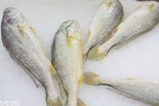 黃花魚清蒸多長時間？黃花魚清蒸的做法