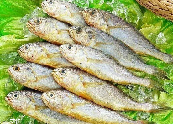 黃花魚去鱗嗎？黃花魚去內(nèi)臟嗎？