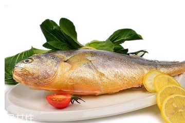 黃花魚為什么都是死的？死黃花魚可以吃嗎？