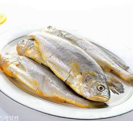 黃花魚為什么都是死的？死黃花魚可以吃嗎？