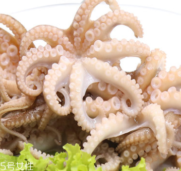 章魚是什么顏色？章魚是什么樣子？